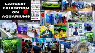 Aquarium exhibition 2023 | pragatimaidan exhibition | aquarium fishes | fish food | planted tank #11