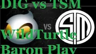 DIG vs TSM - WildTurtle Secures Baron