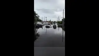 Miami Looks &lsquo;Like A Zombie Movie&rsquo;
