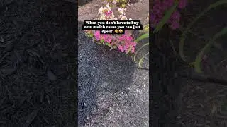 EASY GARDEN MULCH HACK #mulching #gardentransformation #beforeandafter #satisfyingvideo #gardening