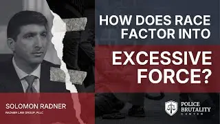 How does race factor into cases of excessive force?