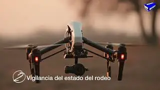 🚁💡 Drones: tus nuevos aliados en la ganadería