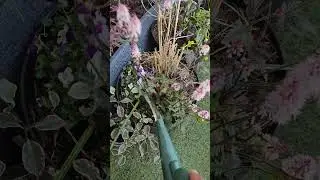 Balcony Garden Watering