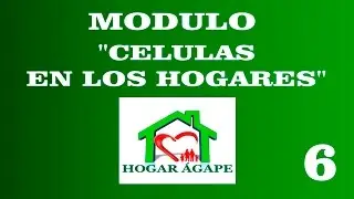 CLASE 6, EL PROGRAMA DE LA CELULA