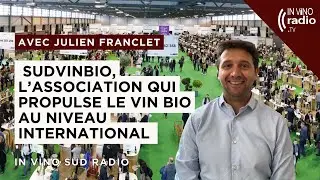 Sudvinbio, l&rsquo;association qui propulse le vin bio au niveau international