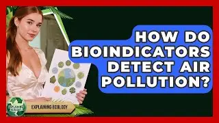 How Do Bioindicators Detect Air Pollution? - Explaining Ecology