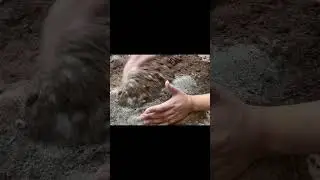 #soil and #sand #mixing #satisfying #youtubeshorts #asmr #dirt