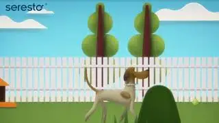 &iquest;C&oacute;mo funciona el collar Seresto contra pulgas y garrapatas?