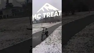 The secret to keeping dogs healthy this winter!