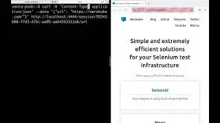 Selenium: How WebDriver protocol works under the hood