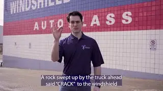 TikTok Inspired Sea Shanty | Windshield Surgeons Auto Glass