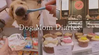 Gurugram's cutest Dog Cafe 🐶 🧁 ✨