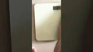 Day 90 and blood chemistry is out