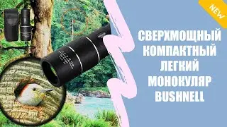 Бинокль bushnell 10x50