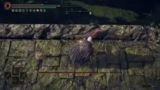 Deathblight Dancing Lion