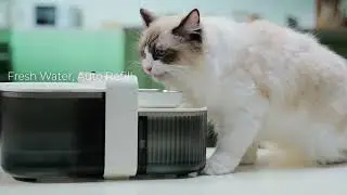 MeowFlow E100 Wireless Cat Water Fountain with No Filters