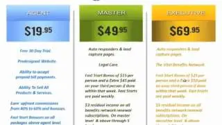 Vitel Wireless Business Overview