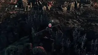 The 