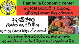 අද දඹුල්ලේ අලුත්ම මිල 2026.01.16 සිකුරාදා / Dambulla Market vegetables fruits wholesale prices list