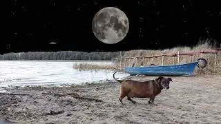 kompozycja green screen, skraj jeziora z pieskiem