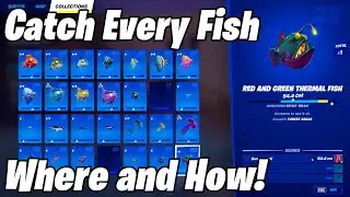 How to Catch Every Fish in Fortnite Chapter 3 Season 2