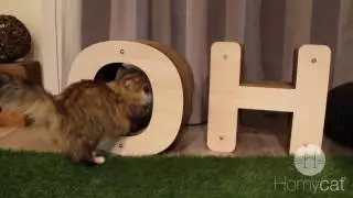 HOmycat OH griffes