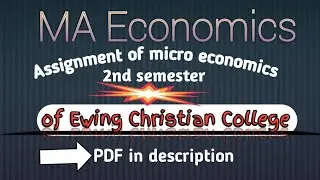 MA Economics (Assignment of micro) 2nd semester