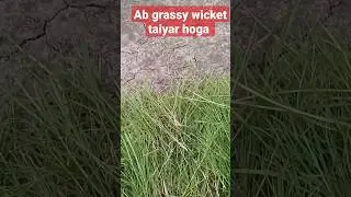 turf wicket ab dikhega grassy #turf #wicket #hardwork #cricketpractice #cricket #battingdrills