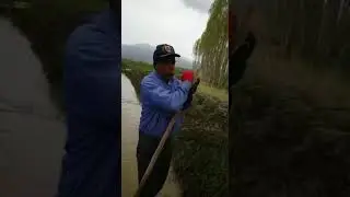 Felemez Beyaz  Van Muradiye 2