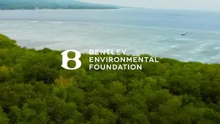 Introducing SeaTrees | Bentley Environmental Foundation