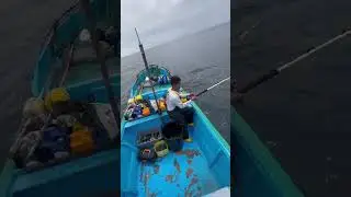 buenos pique gente albacora 🫡🚤🐬