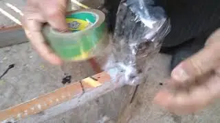 طريقة حماية خلايا النحل من هجوم النمل#عالم_النحل