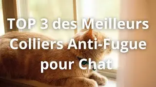 TOP 3 des Meilleurs Colliers Anti-Fugue pour Chat en 2023
