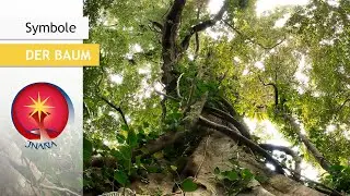 Symbolik der Landschaftselemente - Der Baum