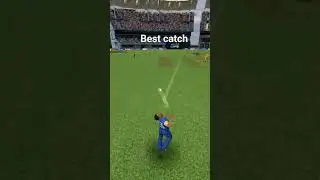 Cricket #best catch #trending shorts