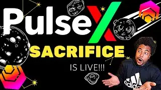 Pulsechain DEX, PulseX Sacrifice phase is now LIVE! Your chance to get in at the VERY beginning!