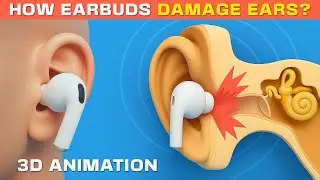 Как наушники-вкладыши вредят нашим ушам | Вредны ли наушники? 3D-медицинское объяснение #наушники...