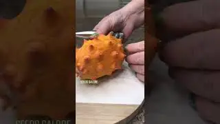what is a horned melon fruit
