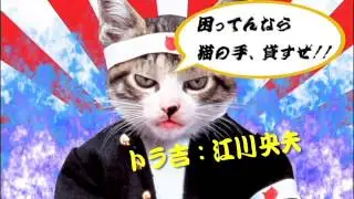 「なめ猫　THE FLASH MOVIE」予告