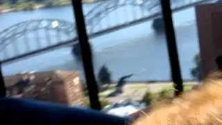 MOV00441