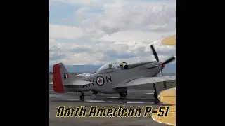 Watch the Iconic P-51 Mustang WWII American Fighter Taxi Out #aviation #military #history