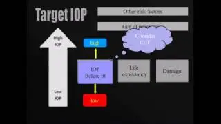 Glaucoma treatment : Choice of target IOP