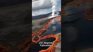 Extreme Survival: Microscopic Life in Harsh Environments 🌋❄️