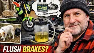 Was Going to Flush Brakes..!! • Bummed Around & Gave Up! | TSV_3710