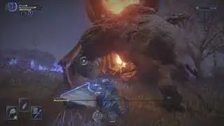 Testing Recluse with Sword Sorcery Build