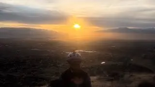 Mini Hog Mini Wing Shred 