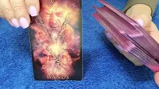 SCORPIO - THEY LOVE YOU A LOT! 💗 👀 NOVEMBER 2021 TAROT READING