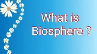 What is biosphere ? 2mark que | TWINKLE STAR S |