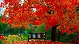 the best music for meditation