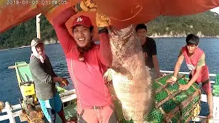 Goliath Grouper | KUGTONG | Bobo Fishing | Episode 4 of 4